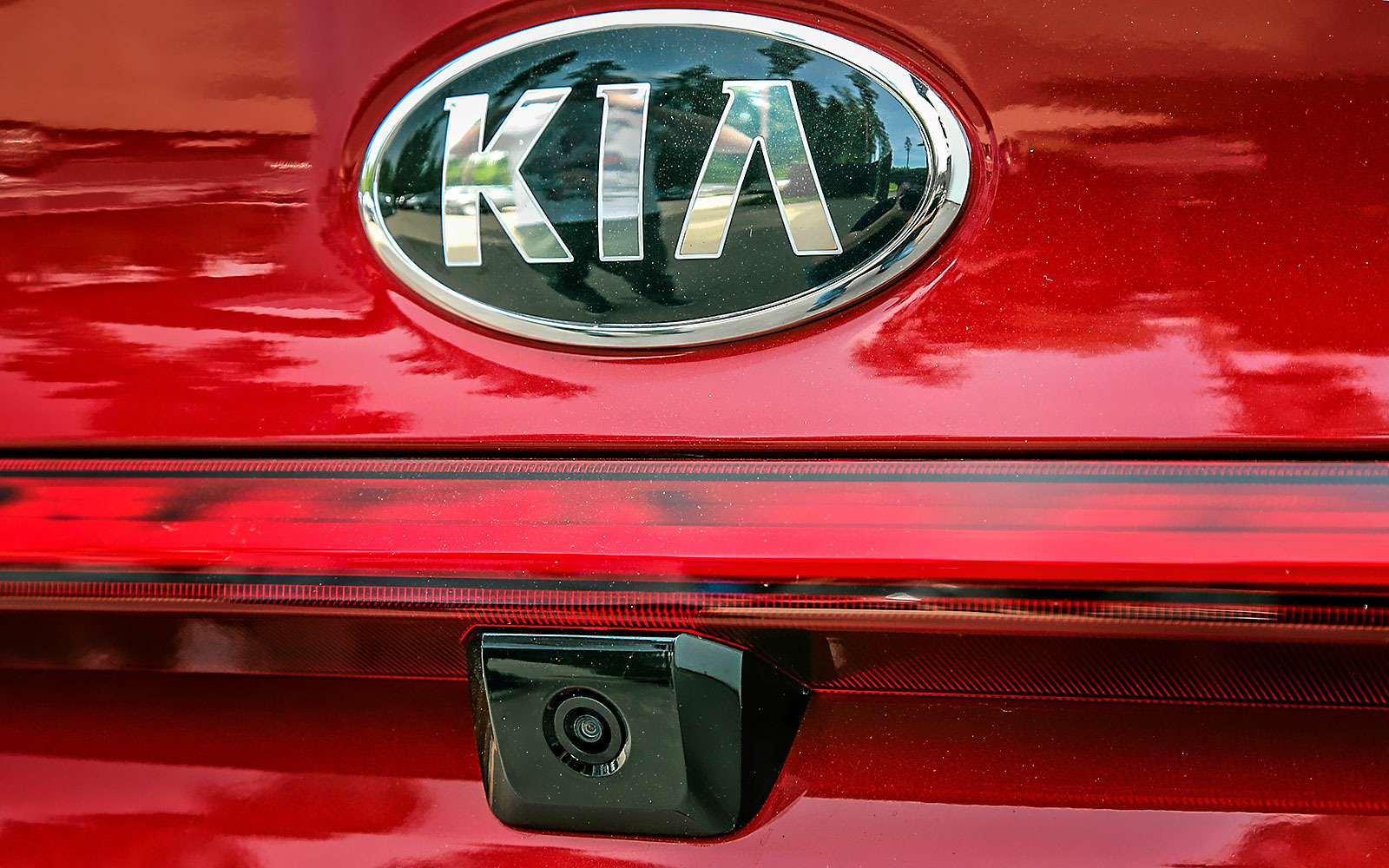 В чем разница между новыми Kia Rio и Hyundai Solaris — фото 788652