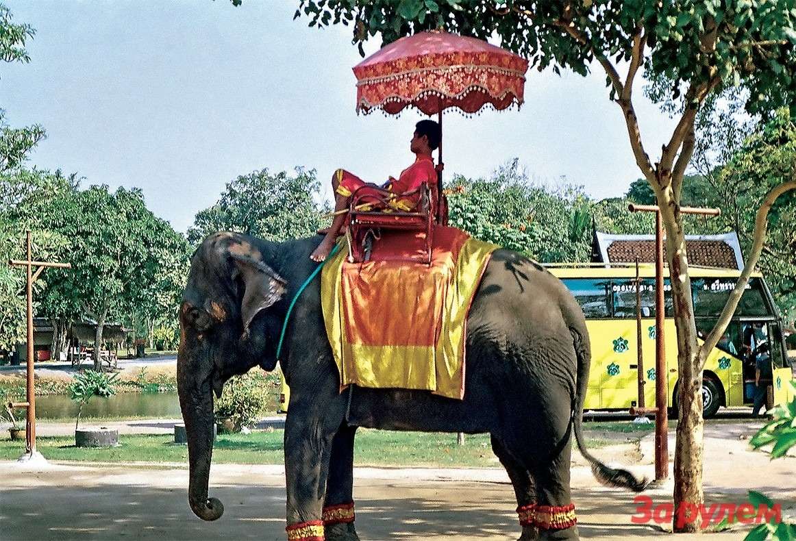 Туристско-парковый транспорт: парковка слонов.