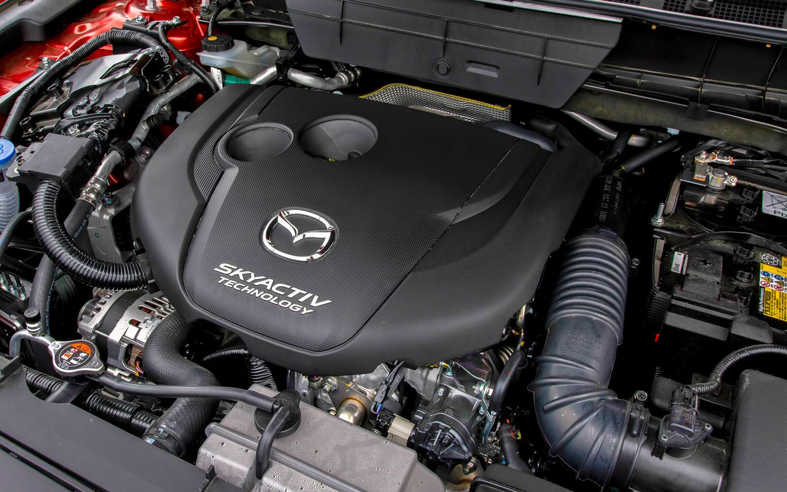 Тест-драйв нового кроссовера Mazda CX-5 — фото 768667