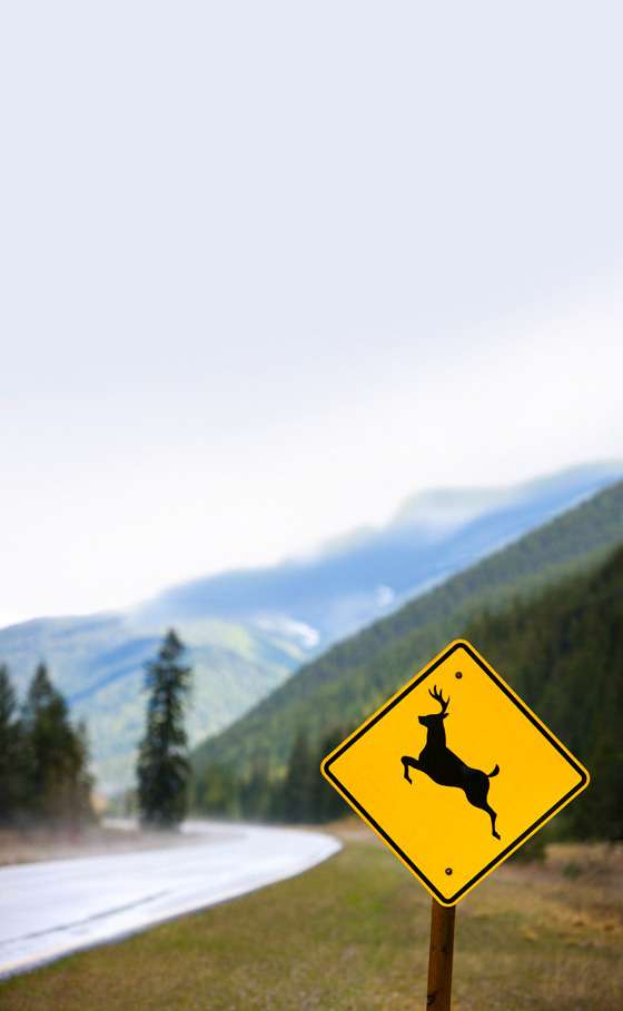 Deer crossing sign in Idaho.