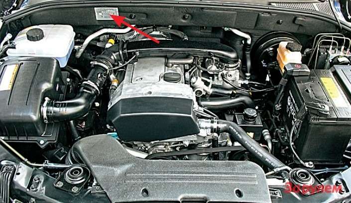Бензиновый мотор с индексом G23D чаще почему-то берут с механической коробкой (дизель — с автоматом). Табличка с VIN показана стрелкой. Свечи — под крышкой с герметичным резиновым уплотнителем. 