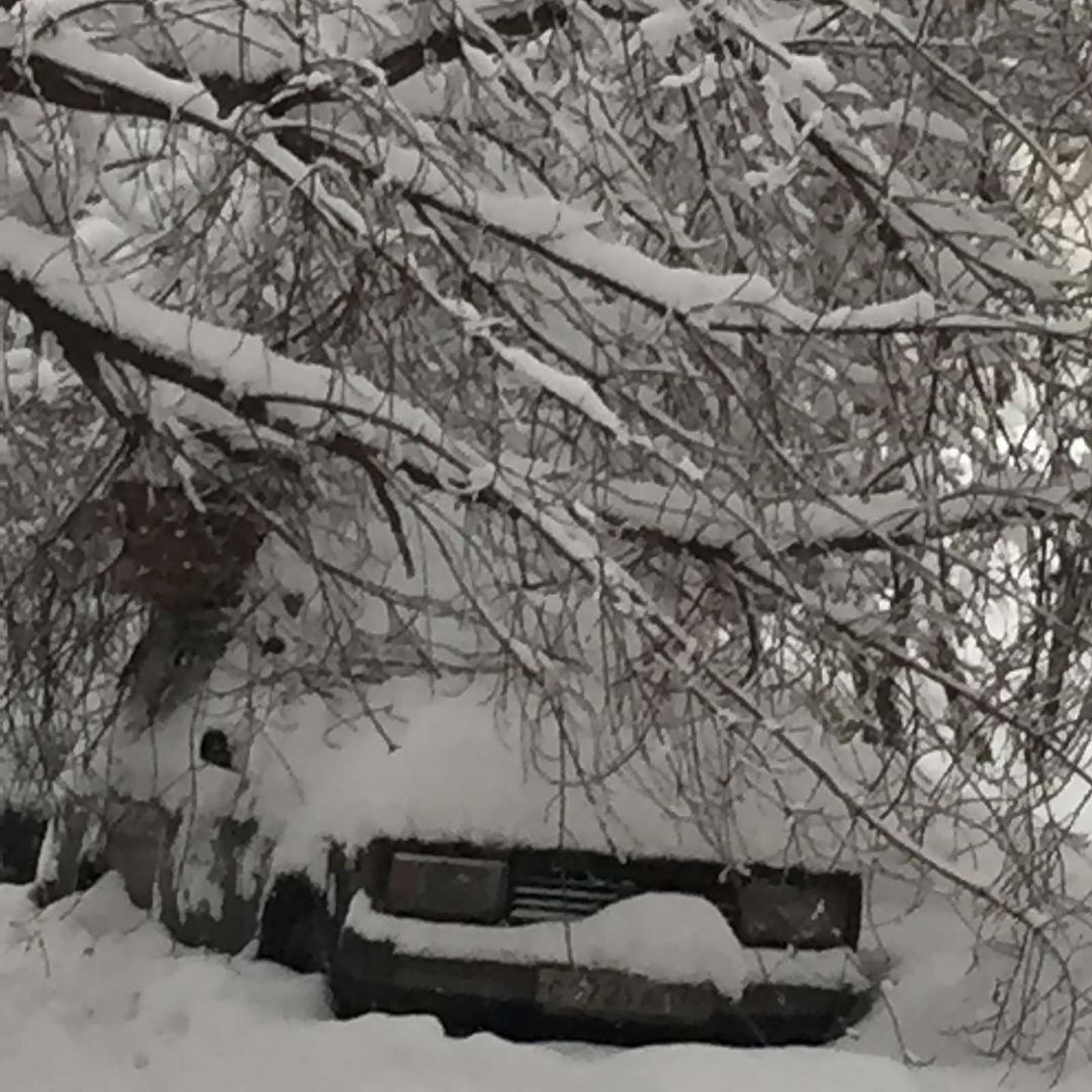 «Снегопад века»: как в Москве пережили первый катаклизм года — фото 842104